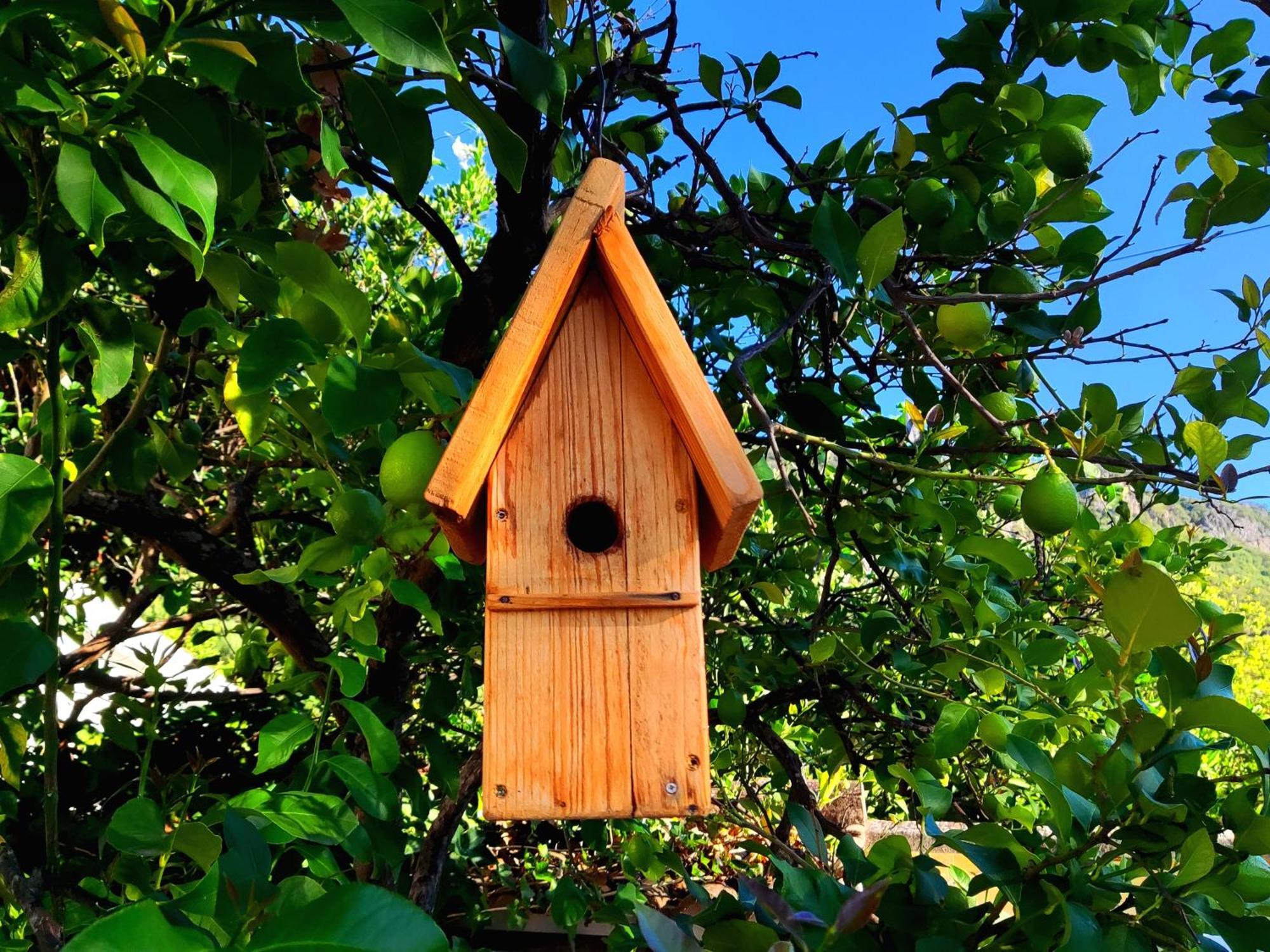 La Casa Del Naturalista エル・ボスケ エクステリア 写真